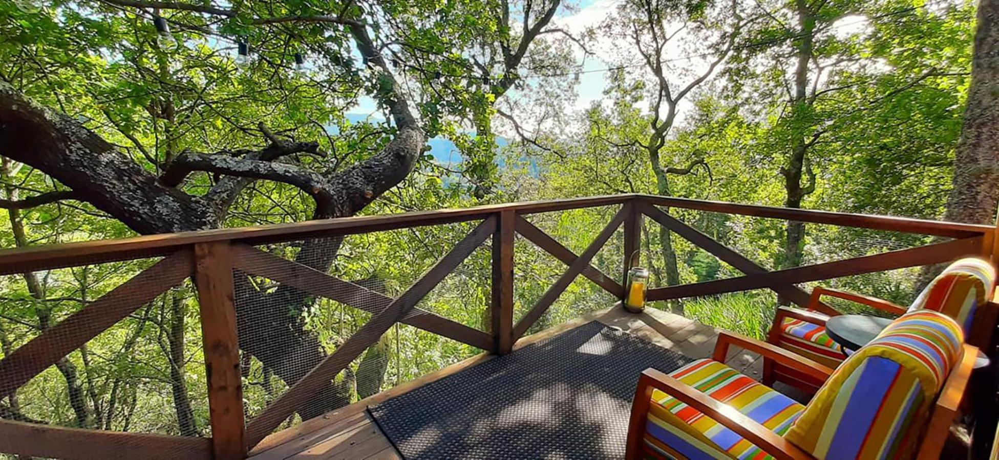 Casa De Chouselas Vilela  Экстерьер фото